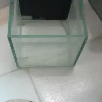 اکواریوم فایتر