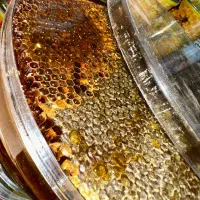 عسل ممتاز سبلان اردبیل|خوردنی و آشامیدنی|مشهد, رده|دیوار