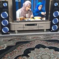 اسپیکر خانگی Maxeeder درحد نو|سیستم صوتی خانگی|پرند, فاز ۳|دیوار