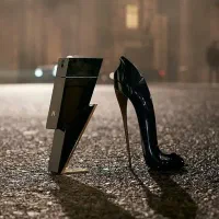 گالری عطر و ادکلن دهقان (خیابان مسلم)|آرایشی، بهداشتی، درمانی|شیراز, مسلم|دیوار