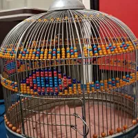 قفس سهره خاکی