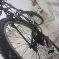 دوچرخه ۲۶ اساک|دوچرخه، اسکیت، اسکوتر|قوچان, |دیوار