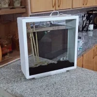 اکواریوم مدرن