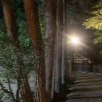 اجاره خانه ویلایی ۳۰۰ متری ۴ خوابه