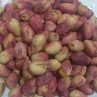 فروش پسته تازه