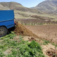 کود حیوانی|خدمات باغبانی و درختکاری|موچش, |دیوار