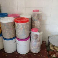 ترشی مخلوط ولیته