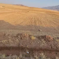 زمین کشاورزی ۳۵۶۰هزار متر در شهر سورشجان|فروش دفتر صنعتی، کشاورزی، تجاری|لاران, |دیوار