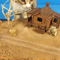 دیوراما وسترن رومیزی، دکوری، ماکت دستساز|مجسمه، تندیس، ماکت|اصفهان, عباس‌آباد|دیوار