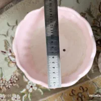 گلدان سفالی|گل و گیاه طبیعی|جیرفت, |دیوار