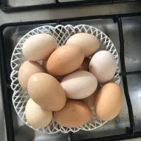 تخم مرغ ارگانیک خانگی و نطفه دار نژادار