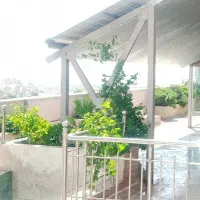 همخونه خانم