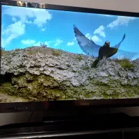 تلویزیون سونی چهل اینچ|تلویزیون و پروژکتور|کرج, گلشهر|دیوار