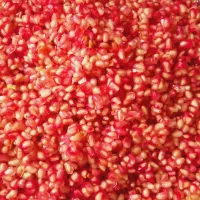 انار دون شده ترش جنگلی