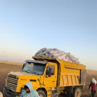 حمل سیب زمینی از زمین تاانبار وسردخانه محدوددهگلان