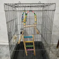 قفس  بزرگ با تمام لوازم