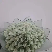 انواع مختلف|گل مصنوعی|زنجان, |دیوار