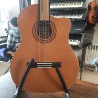 گیتار angel در موزیک ارژنگ|گیتار، بیس، امپلیفایر|پردیس, فاز ۳|دیوار