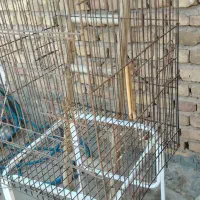 قفس کاسکو وطوطی