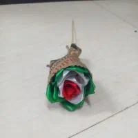 شاخه گل غدیر