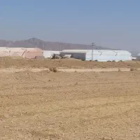 دوازده جریب زمین کشاورزی با شش جریب مجوز گلخانه|فروش زمین و ملک کلنگی|عسگران, |دیوار