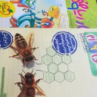 کتاب کمک آموزشی خیلی سبز  پایه نهم