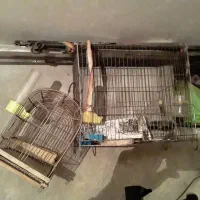 قفس معاوضه با سهره