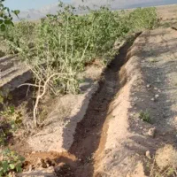 فروش زمین کشاورزی