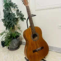 گیتار سانچز خوش صدا|گیتار، بیس، امپلیفایر|تهران, جنتآباد شمالی|دیوار