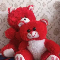 عروسک خرسی