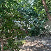اجاره-آپارتمان-فرهیختگان