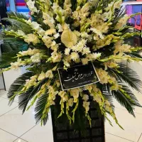 تاجگل طبیعی|گل و گیاه طبیعی|یزد, |دیوار