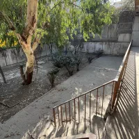 ۲۸۰متر بر ۱۰ گذر ۱۰