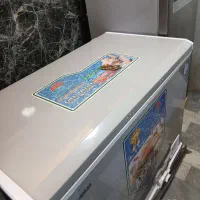 فریزر صندوقی (کتابی)