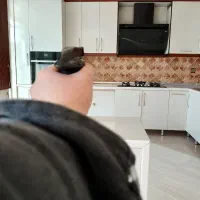 خدماتی ژین پاک