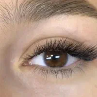 کاشت گیاهی تخفیف۳۰٪|خدمات آرایشگری و زیبایی|سنندج, |دیوار