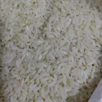 برنج میداوود