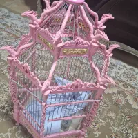 قفس و باکس سگ گربه