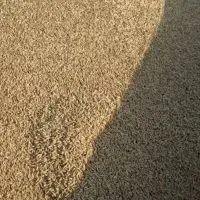 جو محلی تمییز