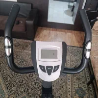 دوچرخه ثابت پاندا