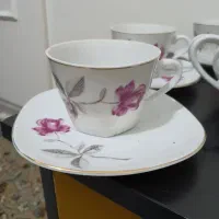 قهوه خوری آنتیک گل سرخی|ظروف سرو و پذیرایی|تهران, سازمان برنامه شمالی|دیوار