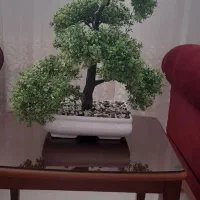 درختچه بونسای مصنوعی|گل مصنوعی|شاهرود, |دیوار