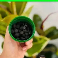 قرص کودهای نانویی تحولی جدید