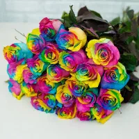 260 شاخه گل رز مهر