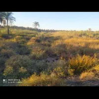 زمین در روستای صیداویه|فروش دفتر صنعتی، کشاورزی، تجاری|آبادان, |دیوار