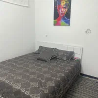 اجاره روزانه|اجارهٔ کوتاه‌مدت آپارتمان و سوئیت|مشهد, زیبا شهر|دیوار