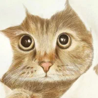 آموزش و سفارش نقاشی|خدمات آموزشی|قائمشهر, |دیوار