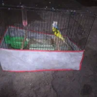 ۱۰۰۰۰۰۰تومان