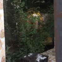 ویلا اجاره ای|اجارهٔ کوتاه‌مدت ویلا و باغ|چمستان, |دیوار