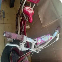 دوچرخه ۱۲ کافریدیس بچگانه ونونهالانه